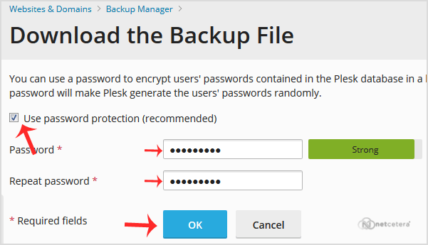 plesk-account-backup-password-protection.gif